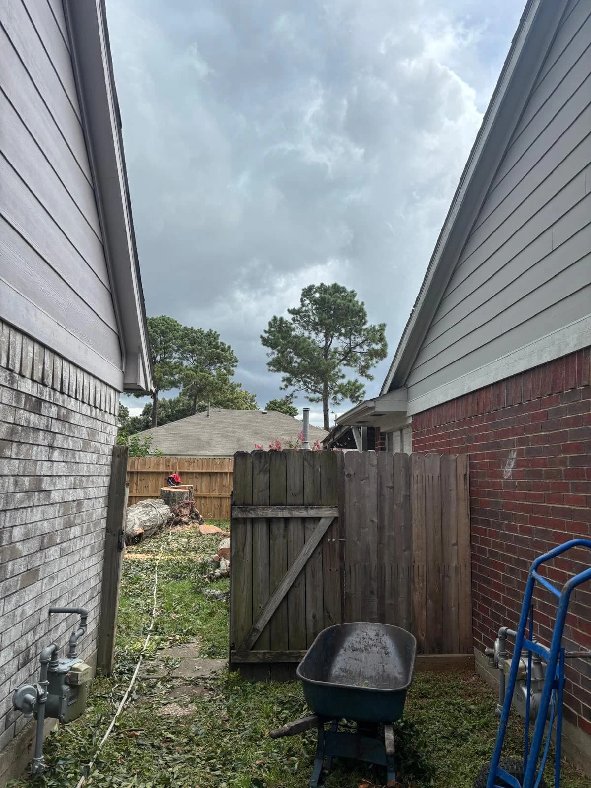 Tree removal step 5