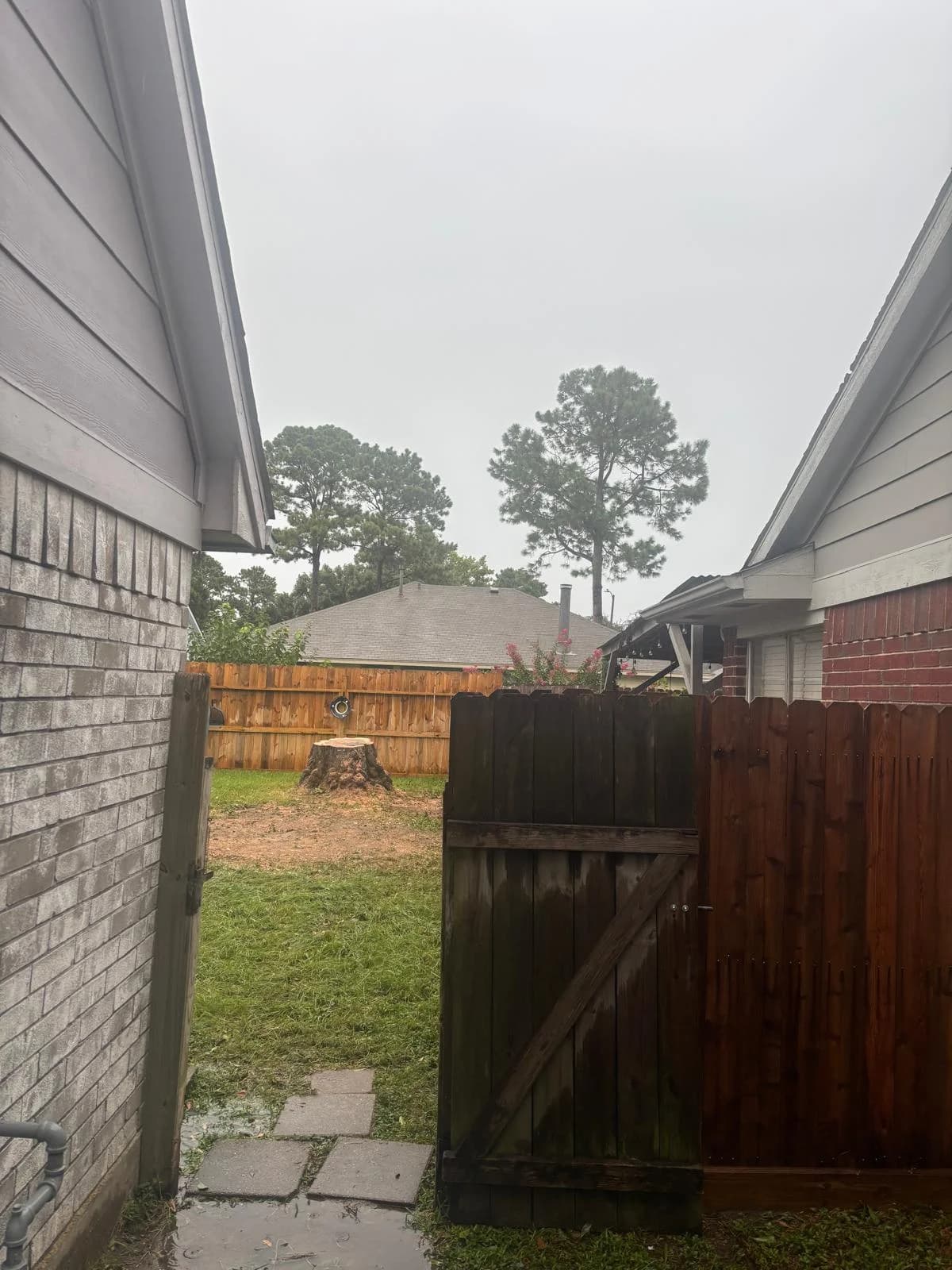 Tree removal step 6