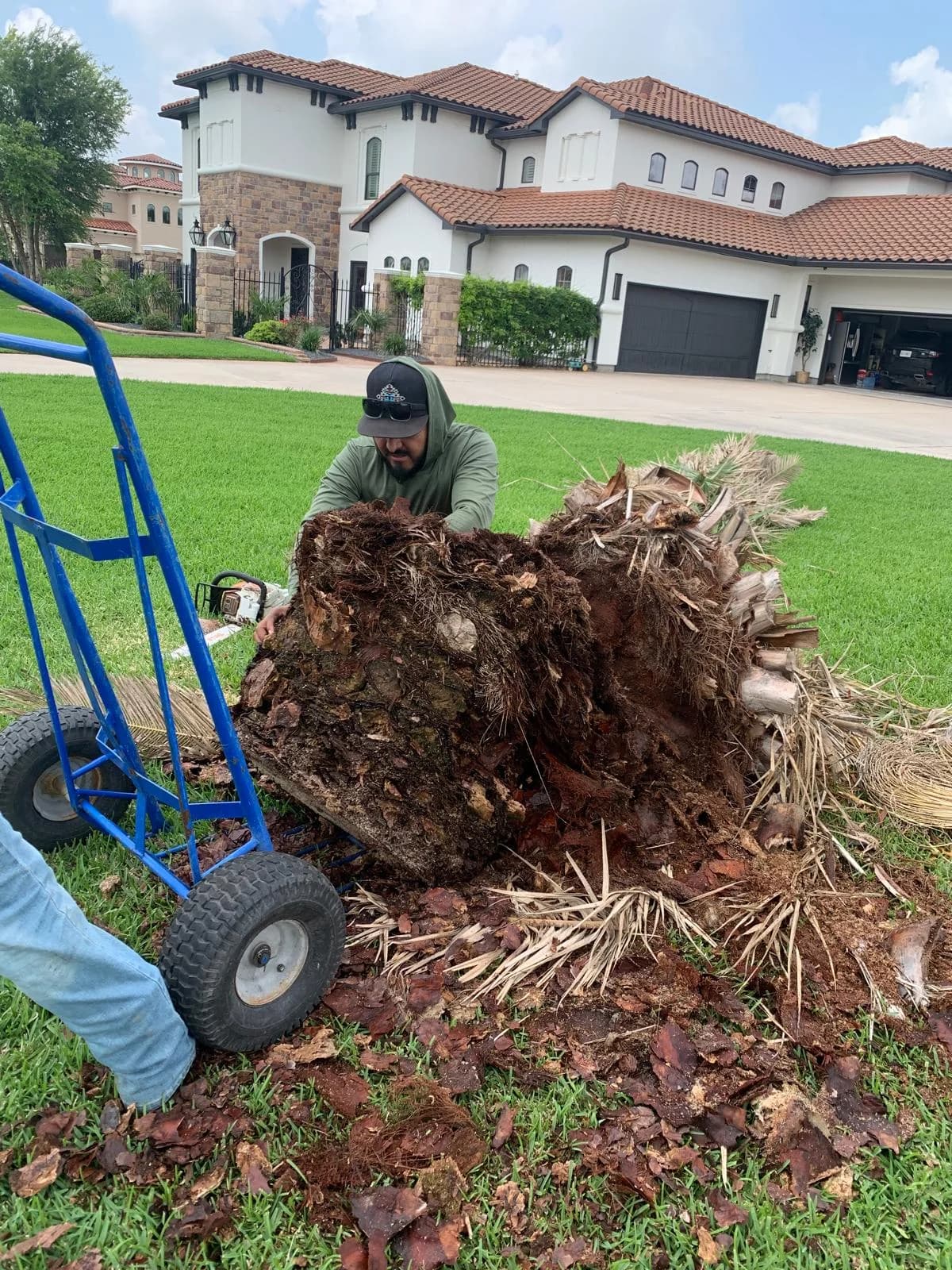 Zapata Tree Service worker removing a large stump in a Houston residential yard